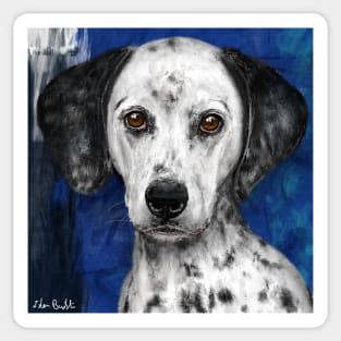Painting of a Cute Dalmatian Dog Staring Directly at You Sticker